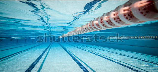 European Aquatics Championships London 2016 swimming